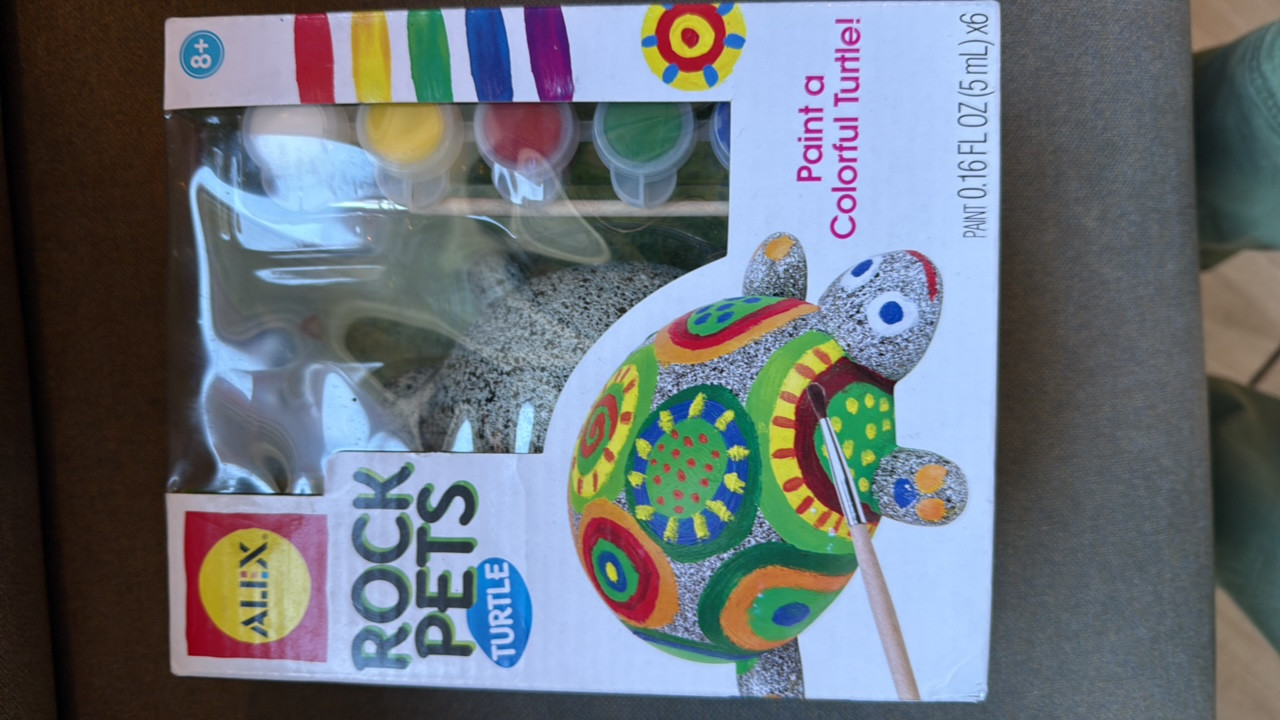 ALEX Rock Pets Turtle Painting Kit